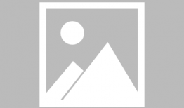 91港台电视直播app