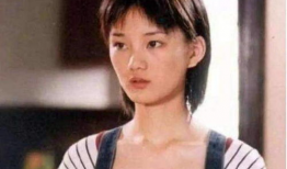 薰衣草电视剧演员表,倾情演绎的爱情传奇，众星云集的演员阵容