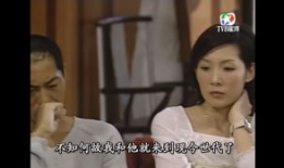 电视剧九五至尊结局,风云变幻，王者归来