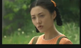 丹丹是什么电视剧,青春追梦记